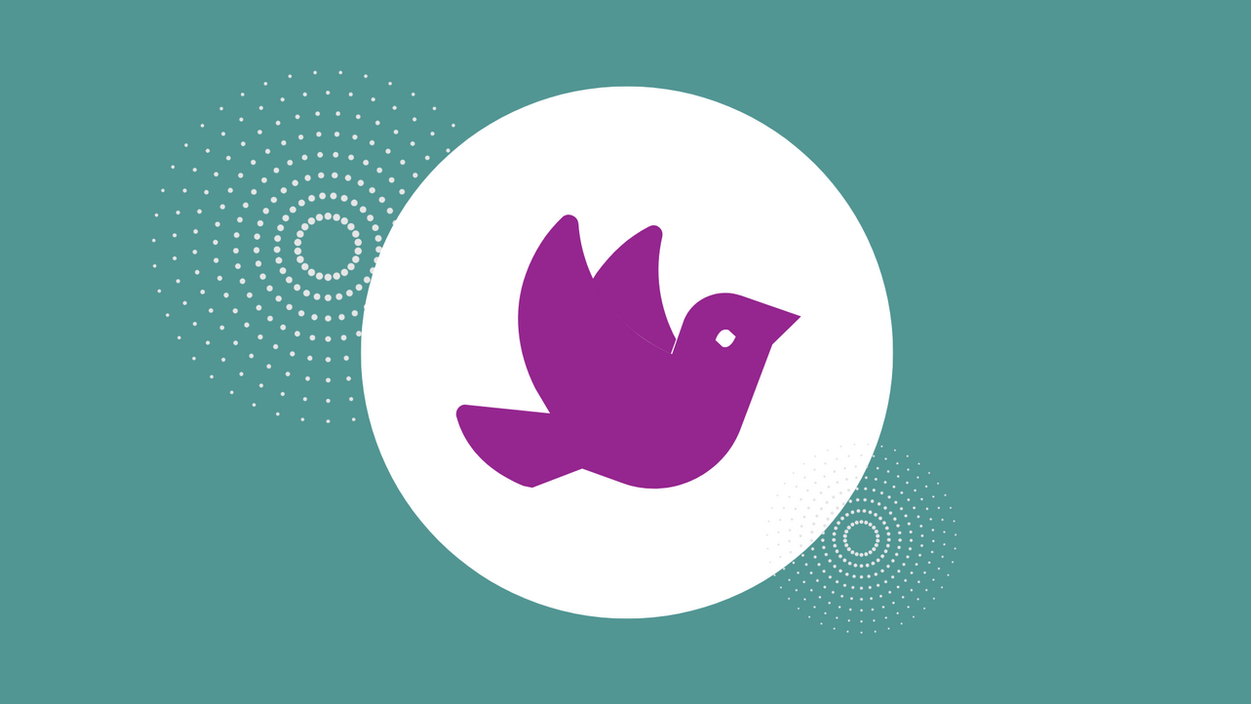 Understanding the femfit® bird